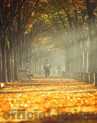 足球半全场比分-足球半全场比分，绿茵场上的策略与激情交织