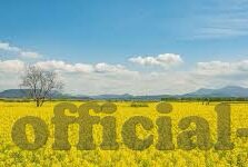 足球比分公司-足球比分公司的崛起，体育产业新势力的崛起与挑战