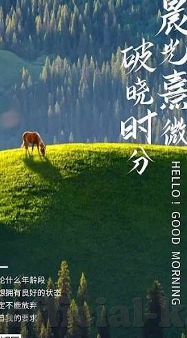 足球比分直播哦-足球比分直播，绿茵场上的心跳同步器